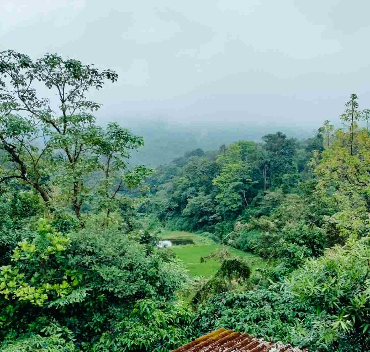 Natural surroundings view 10