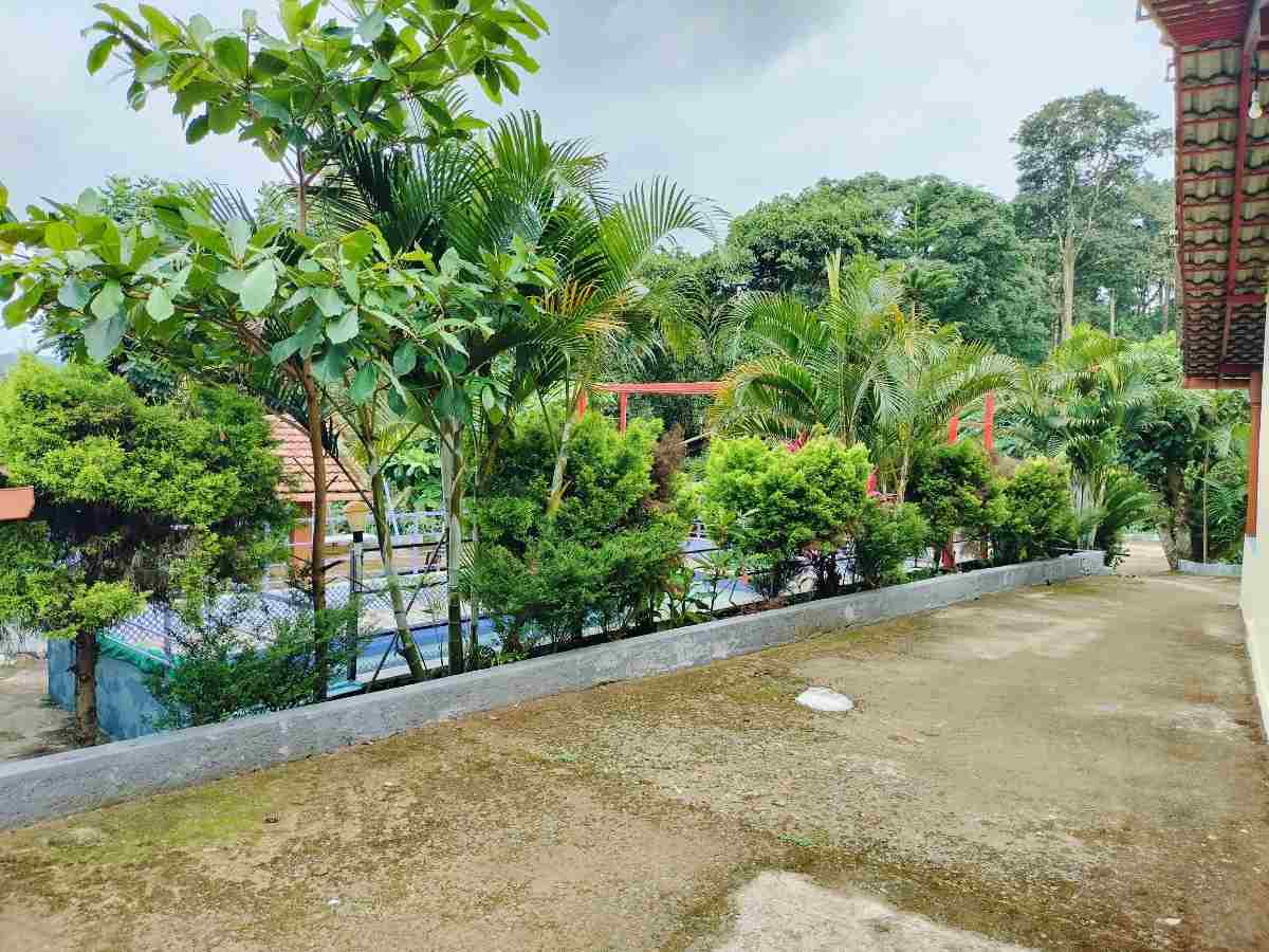 Natural surroundings view 11